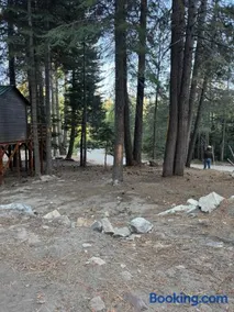 Ponderosa Pines Cabin with Treehouse and Zipline - Image 1