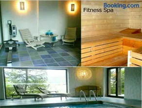 Villa Edelweiss - 3 to 6 Guests - private use of indoor pool, sauna and garden terrace - Image 2