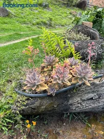 Chalé Jequitiba, hidro, lareira, natureza, Sul de Minas, Café da manhã - Image 3