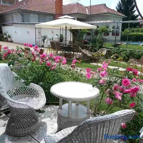 Apartmani sa pogledom na Dunav - Akademik - Image 3