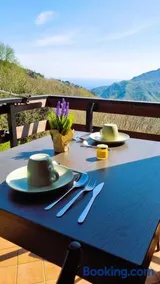 Bee Freeride Biker house - Image 1