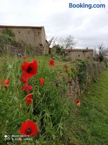 Ferme de fenivou - Image 3