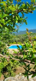 Uliveto Garden - Image 3