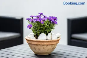 Bükkös Liget Apartman - Image 2