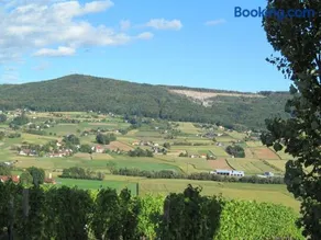 Appartement Weingut Schoberhof - Image 4