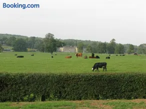 Moo Cow Cottage Self Catering - Image 2