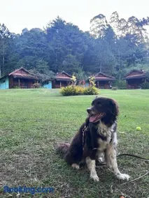 Pousada Cabanas da Serra Lumiar - Image 3
