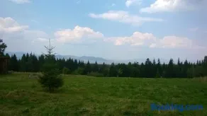Pensiunea Dealu Negru 17B - Image 4