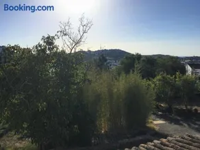Finca Horno de Cal - Image 4