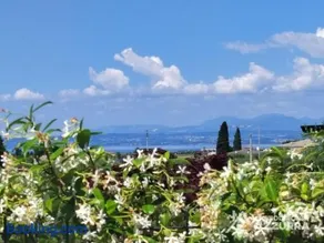 Villetta Batik Immobiliare Azzurra - Image 3