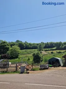 Chevaux au Soleil - Image 2