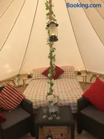 Glamping with Alpacas! - Alton Towers - Image 2