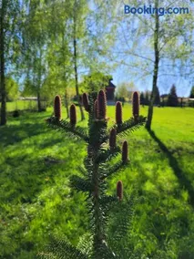 Dom za 7 górami - Image 3