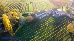 Les Vignes - Image 2
