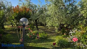 La Margherita - Image 3