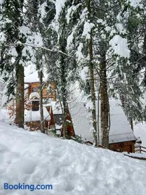 Forest Amerika-Bungalovi Milica - Image 1