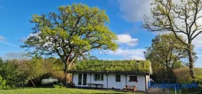 Buzzard's Nest Glamping Oak - Image 5