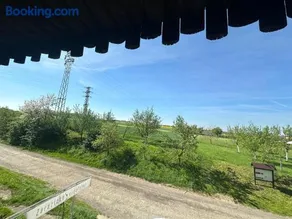 Vinný sklep v Zarazicích - Image 1