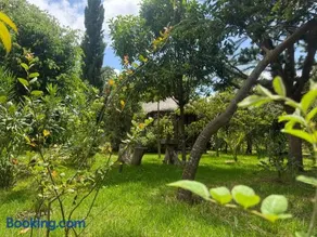 Podocarpus cottages - Image 3