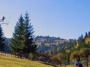 Cabana Soarelui,Napos vendégház - Image 2
