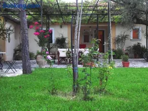 TheNi Olive Grove Villa - Image 4
