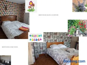 DEUX CHAMBRES DANS UNE MAISON INDIVIDUELLE AU COEUR De L AVESNOIS - Image 1