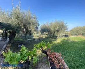 CasaRuibella - Image 3