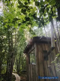 Off-grid forest glamping - Image 1