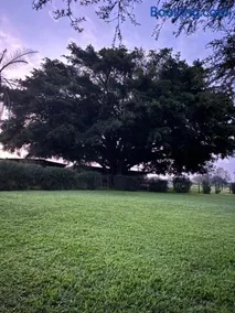 The Farmery Garden and Guesthouse - Image 3