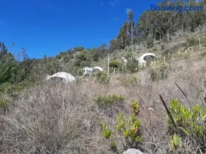 Glamping NIDO VERDE - Image 5