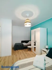 Róża Wiatrów Leśny Klif - Image 4