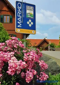 Weingut- Gästezimmer Marko - Image 2