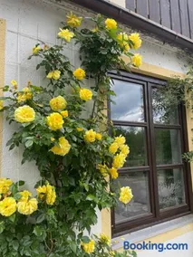 Gästehaus Altes Fährhaus - Image 3