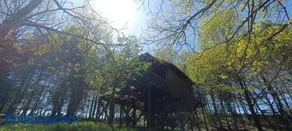 Kis Tűzlepke Lombház - Image 5