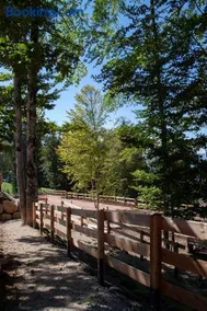 Camping Essenza Alpina - Image 4