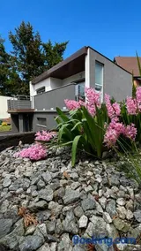 Boszkowo summer house & apartments - Image 1