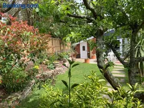 Walnut Cottage - Image 4