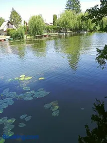Borostyán Vendégház Dunasziget - Image 2