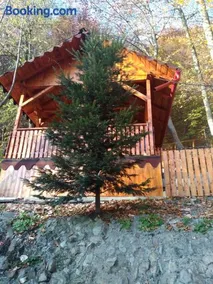 Casa Puiu - Image 1