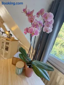 Quiet Riverside Apartment - Image 3