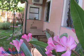 Casa Amaryllis - Image 5
