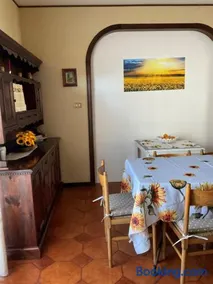 Cento Girasoli - Image 4