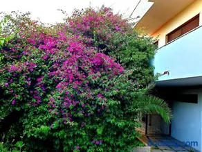 QUIET HOUSE GARDEN NAPLES-POMPEI-SORRENTO - Image 3