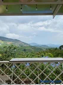 Aloha farm - Image 5