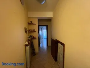 Cassiopea - Image 4