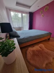 Apartment Kurši - Image 4