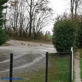 gite piscine campagne - Image 3