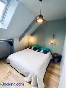 Appartement - Boutique - Image 2