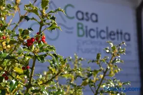 Casa Bicicletta - Image 2