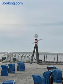 Seestern am Naturstrand - Image 1